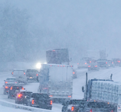 Key Policy Shifts to Watch This Winter